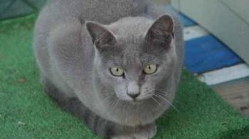 Nikita Bild von Nikita