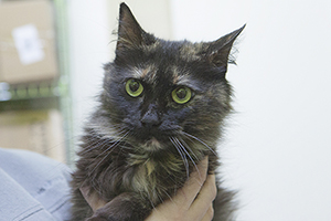 Bild von Luisa
