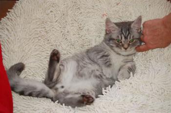Feli Bild von Feli
