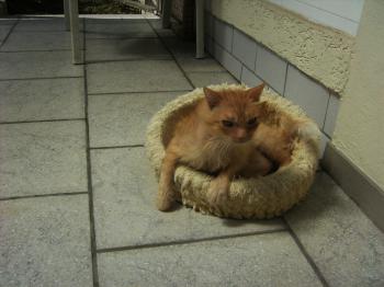 Friki Bild von Friki
