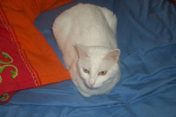 Anna Bild von Anna