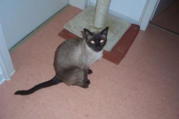 Sunny Bild von Sunny
