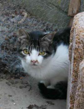 Peque Bild von Peque