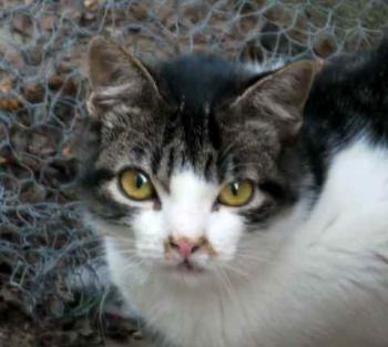 Peque Bild von Peque