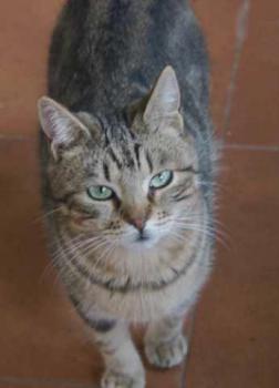 Bild von Nacha