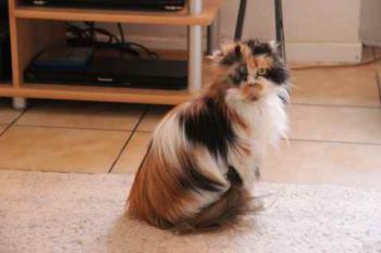 Ohne Namen 5947 Bild von Georgina