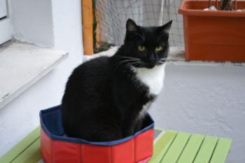 Helga Bild von Helga