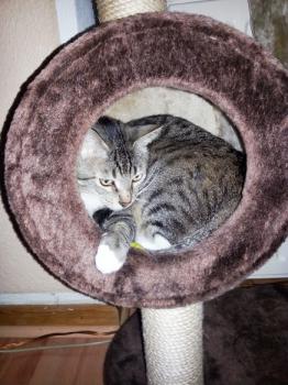 Charlie Bild von Charlie