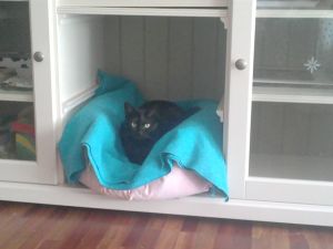 Diana Bild von Diana