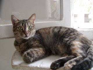 Dalila Bild von Dalila
