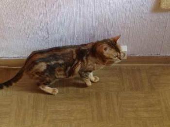 Sharina Bild von Sharina