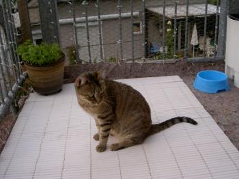 Jean Bild von Jean