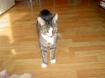 Skinny Bild von Skinny
