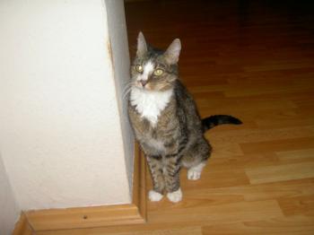 Skinny Bild von Skinny