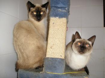 Ohne Bild von Gisele