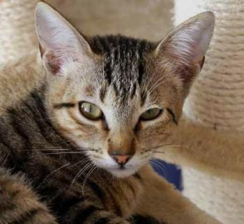 Liese Bild von Liese
