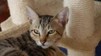 Liese Bild von Liese