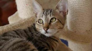 Liese Bild von Liese