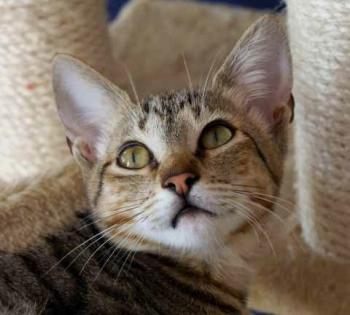 Liese Bild von Liese