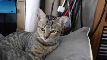 Liese Bild von Liese
