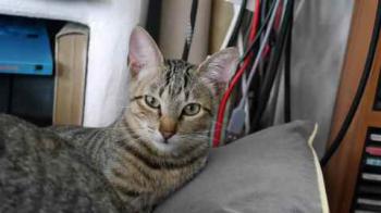 Liese Bild von Liese