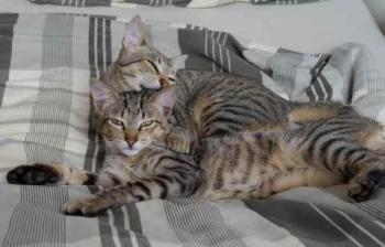 Liese Bild von Liese