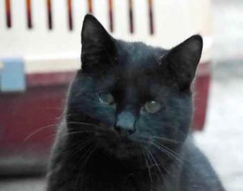 Coco Bild von Coco