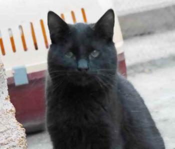 Coco Bild von Coco