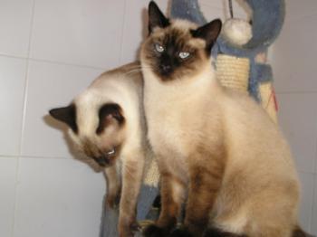 Ohne Bild von Gisele