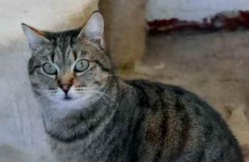 Fizz Bild von Fizz