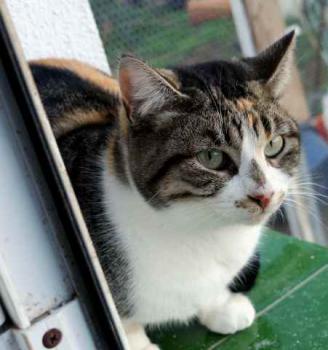 Lotte Bild von Lotte