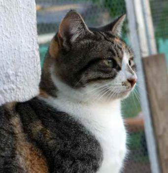 Lotte Bild von Lotte