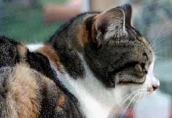 Lotte Bild von Lotte
