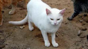 Nieves Bild von Nieves