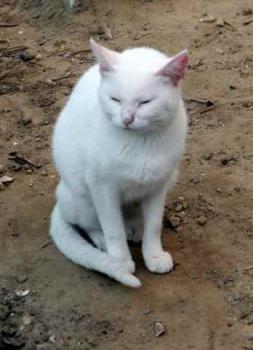 Nieves Bild von Nieves