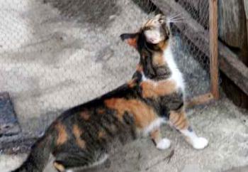 Marie Bild von Marie