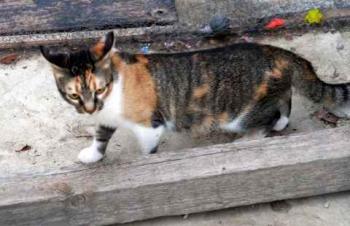 Marie Bild von Marie