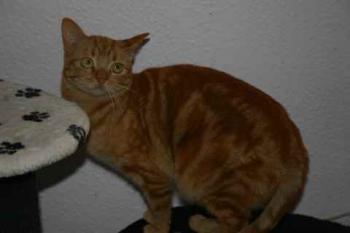 Bild von Libe