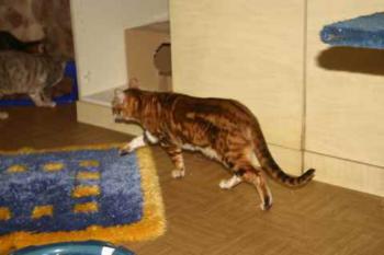 Sharina Bild von Sharina