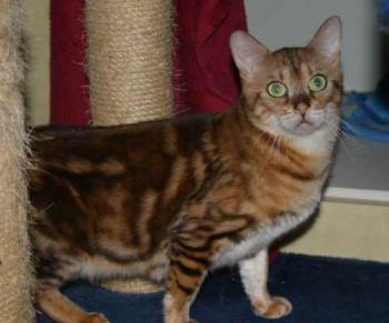 Sharina Bild von Sharina