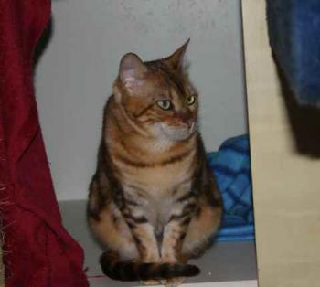 Sharina Bild von Sharina