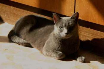 Lumen Bild von Lumen
