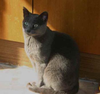 Lumen Bild von Lumen