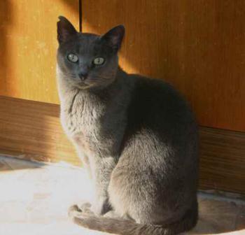 Lumen Bild von Lumen