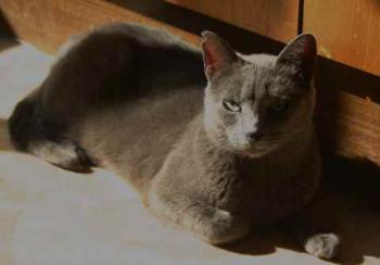 Lumen Bild von Lumen