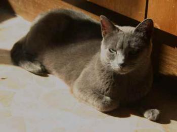 Lumen Bild von Lumen