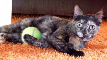 Sookie Bild von Sookie