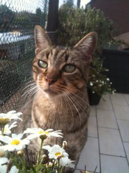Linus Bild von Linus