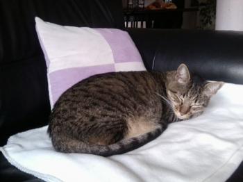 Linus Bild von Linus