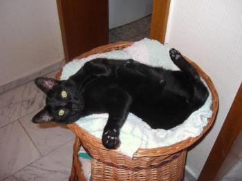 Bild von Lucia